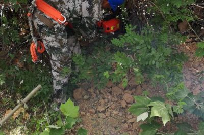 開(kāi)展輸電線路火災(zāi)隱患排查治理工作