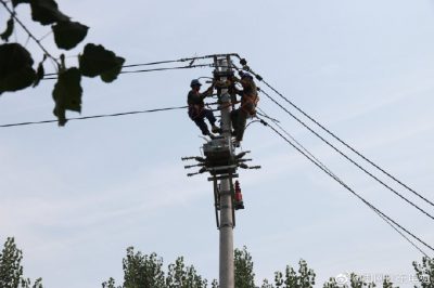 東阿縣供電公司新架設(shè)電桿5基、絕緣導線1000米