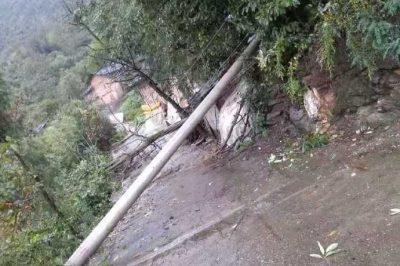 麻虎供電所搶修大樹(shù)倒的電桿