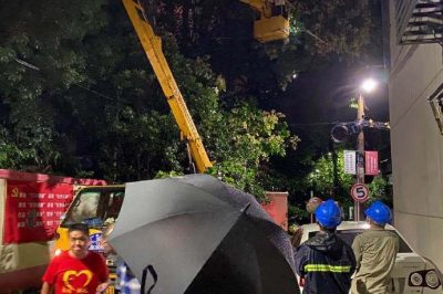 無懼大風(fēng)，連夜搶修供電線路