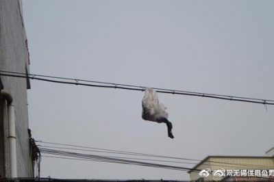 你的隨手一“拋”，可能導(dǎo)致跳閘停電！