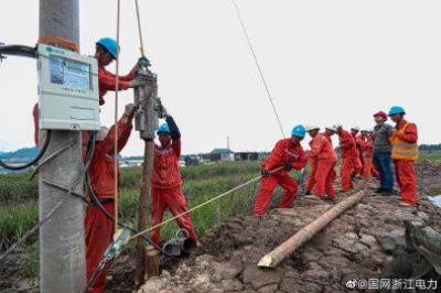 供電公司開展配網(wǎng)防臺風專項整治