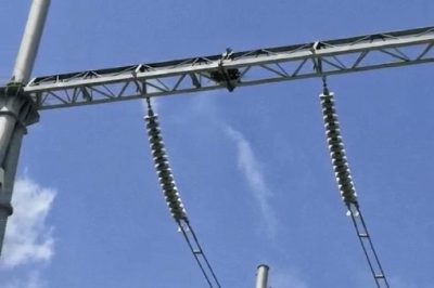 變電設(shè)備上有鳥巢，咋整？