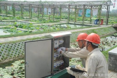 國網(wǎng)南京市江北新區(qū)供電公司安裝變壓器、環(huán)網(wǎng)柜、配電箱等配電設(shè)備