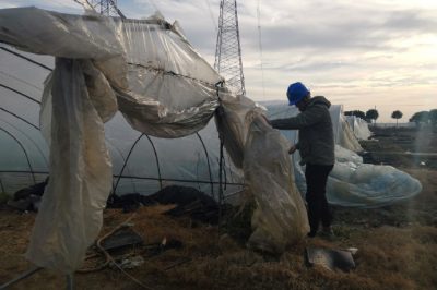 直流500千伏龍政線開展防異物特巡